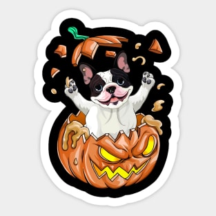 Boston Terrier In The Pumpkin tshirt halloween costume funny gift t-shirt Sticker